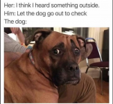 1746229534615.png