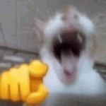 IMG_3722.png