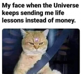 1746491638483.png