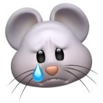1746557313021.png