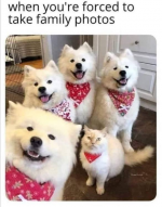 1746558749137.png