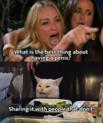 1746658646888.png
