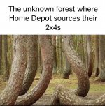 FB_IMG_1746791403875.jpg