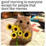 1000022096.jpg