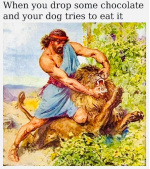 1746804123748.png