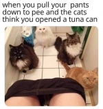 1746832774107.png