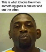 1746907228251.png