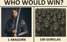 1747050233288.png