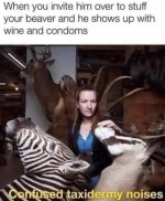1000022202.jpg