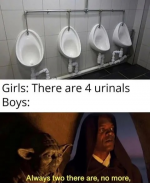 1747144300491.png
