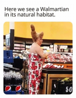 1747176582779.png