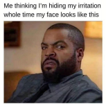 1747176690591.png