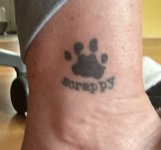 IMG_6690.jpeg