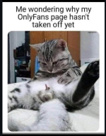 1747442007927.png