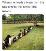1747455237530.png