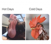 1747692207880.png