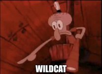 He's a Cat.jpg