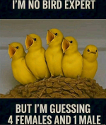 1747873054343.png