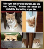 1747873373667.png