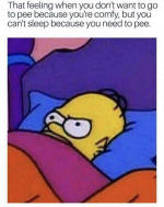 1747921774678.png