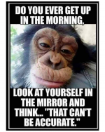 1747962883318.png