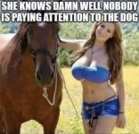 1747967847828.png