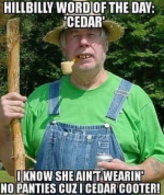 1747968489679.png