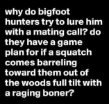 1748052907681.png