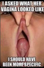 IMG_9063.jpeg