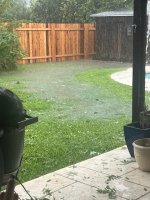 IMG_1054.jpeg