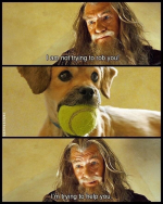 1748866839921.png