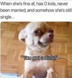 IMG_9141.jpeg