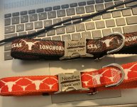 SM Noodles collar.jpg