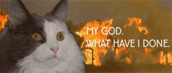 IMG_9879.gif