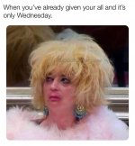 1749072498480.jpeg