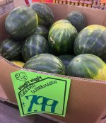 IMG_0044.jpeg