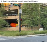 IMG_9156.jpeg