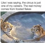 1000022915.jpg