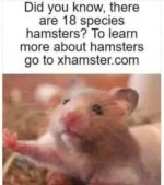 1000022996.jpg