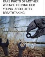 1000023001.jpg
