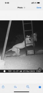 IMG_2858.jpeg