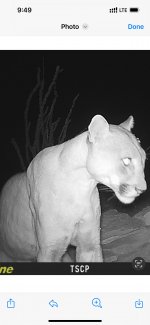 IMG_2860.jpeg