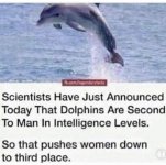 1000023019.jpg