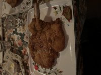 IMG_0744.jpeg