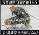 IMG_9197.jpeg