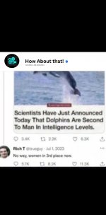 IMG_9223.jpeg
