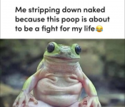 1750115330318.png