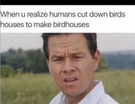 1000023137.jpg