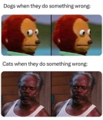 1750210765275.png