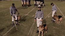 IMG_2712.gif